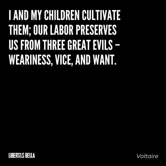 Voltaire Quotes - "I and my children cultivate them; our labor preserves us from three great evils..."