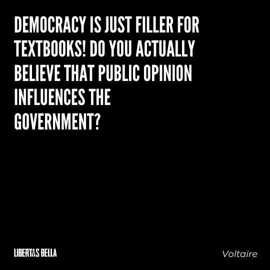 Voltaire Quotes - "Democracy is just filler for textbooks! Do you actually believe that public opinion..."