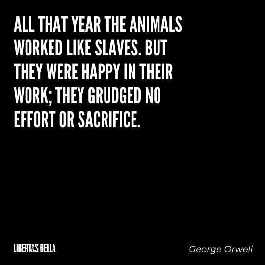 1984 Quotes - "All that year the animals worked like slaves. But they were happy in their work..."