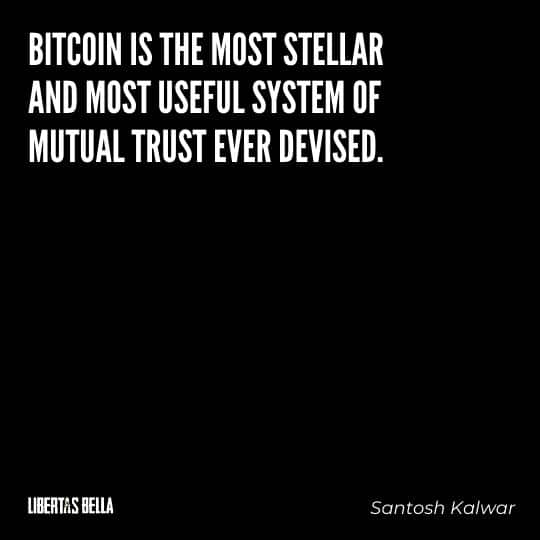 Cryptocurrency Quotes - "Bitcoin is the most stellar and most useful system..."