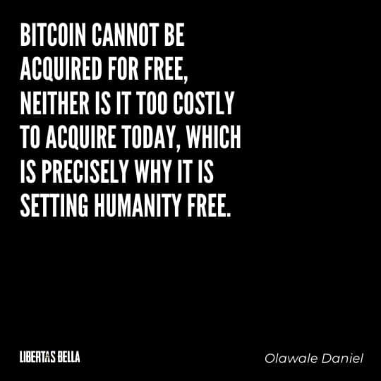 Cryptocurrency Quotes - "Bitcoin cannot be acquired for free, neither is it too costly..."